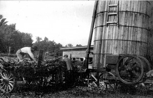 Farm in southern Grand Traverse County, turn of the previous century. Image donated to HCTC.