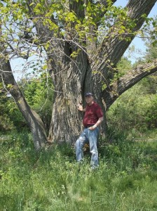 Author at base of blight-free American Chestnut on Old Mission, 28 May 2015.