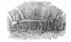 An example of a gun trap, illustration pulled from "Camp Life in the Woods," by Gibson, published 1881.