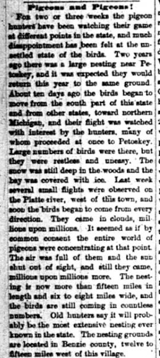 Article on pigeon nesting grounds, April 1880, Grand Traverse Herald.