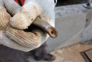 "Sea lamprey traps often produce by-catch. This native silver lamprey was found in the trap and released back into the St. Mary's River." Photo and caption courtesy of Joanna Gilkeson, US Fish and Wildlife Service, Midwest, https://flic.kr/p/oqQWi3
